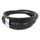 Classic V-belt 629441.0 [Agro-Belt],  (C200)