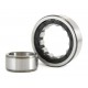 Cylindrical Roller Bearing 025177 Geringhoff [FAG]