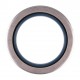 Oil seal 58х80х10 B2SL2 (NBR) - 01032065B [Corteco]