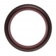 Oil seal 65х85х13 B1SLSFRD (FPM) [Corteco]