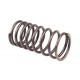 Inside valve spring 735525M1 [Bepco]