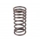 Inside valve spring 735525M1 [Bepco]