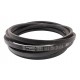 Classic V-belt (C330), 644539.0 suitable for Claas [Continental Conti-V]