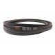 Classic V-belt C22x8458 (C333) [Roulunds]