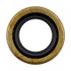 Oil seal 19x31x7 SB B1SL [WLK]