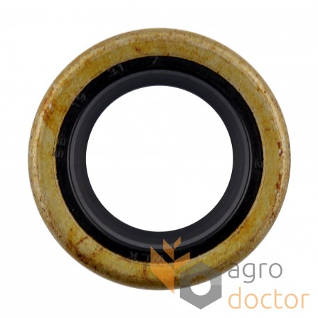 Oil seal 19x31x7 SB B1SL [WLK]