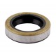 Oil seal 19x31x7 SB B1SL [WLK]