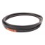 Classic V-belt D41987900 [Dronningborg] Cx1950 Harvest Belts [Stomil]