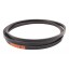 667683.1 suitable for Claas - Classic V-belt Cx3820 Lw Harvest Belts [Stomil]