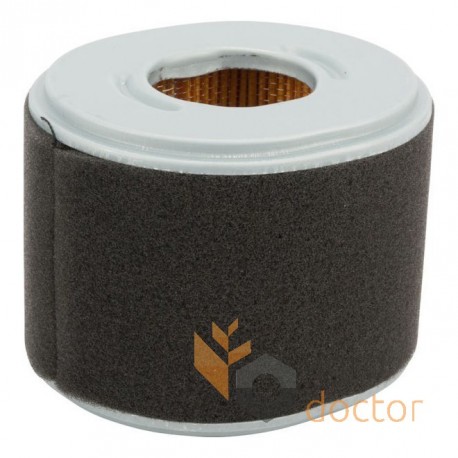 Air filter P607273 [Donaldson]