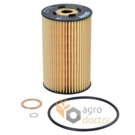 Oil filter (insert) P550766 [Donaldson]