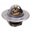 Thermostat du moteur - 1446165M91 Massey Ferguson [Bepco]
