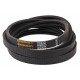 667251 [Claas] Wrapped banded belt 2HB-2450 Agridur [Continental]