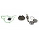 Water pump repair kit engine 30/131-49 3641332M91 Massey Ferguson, [Bepco]