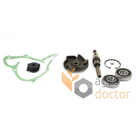 Water pump repair kit engine 30/131-49 3641332M91 Massey Ferguson, [Bepco]