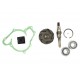 Water pump repair kit engine 30/131-49 3641332M91 Massey Ferguson, [Bepco]