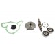 Water pump repair kit engine 30/131-49 3641332M91 Massey Ferguson, [Bepco]