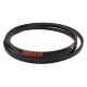 Classic V-belt 4254138824 [Case-IH] SPCx2650 Harvest Belts [Stomil]