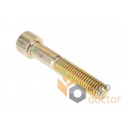 Cylindrical head screw 241076 Claas