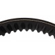 Variable speed belt 834110M1 [Massey Ferguson] Agridur [Continental]