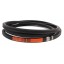 0619071 Double (hexagonal) V-belt suitable for Sampo [Harvest Belts Stomil]