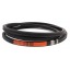 0619062 Double (hexagonal) V-belt suitable for Sampo [Harvest Belts Stomil]