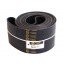 Flat belt 630043 suitable for Claas [Agrobelt], 120x5