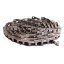 Feederhouse roller chain CA557/F3/J2A [AGV Parts]