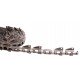 Feederhouse roller chain CA557/2K1/JA/J2A [Rollon]