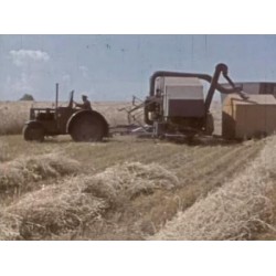 Combine harvester MDB