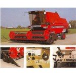 Combine harvester MASSEY FERGUSON MF 24 -  MASSEY FERGUSON MF  31